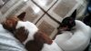 Filename=20161105_001.jpg
Filesize=720KiB
Dimensions=2048x1152
Date added=Dec 19, 2018 20161105_001.jpg