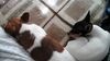 Filename=20161105_002.jpg
Filesize=718KiB
Dimensions=2048x1152
Date added=Dec 19, 2018 20161105_002.jpg