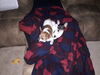 Filename=20161110_002.jpg
Filesize=435KiB
Dimensions=2048x1536
Date added=Dec 19, 2018 20161110_002.jpg