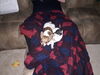 Filename=20161110_003.jpg
Filesize=467KiB
Dimensions=2048x1536
Date added=Dec 19, 2018 20161110_003.jpg