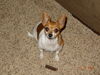 Filename=20161111_002.jpg
Filesize=798KiB
Dimensions=2048x1536
Date added=Dec 19, 2018 20161111_002.jpg