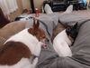 Filename=20161119_004.jpg
Filesize=372KiB
Dimensions=2048x1536
Date added=Dec 19, 2018 20161119_004.jpg