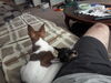 Filename=20161125_002.jpg
Filesize=412KiB
Dimensions=2048x1536
Date added=Dec 19, 2018 20161125_002.jpg