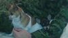 Filename=20161129_003.jpg
Filesize=118KiB
Dimensions=2048x1152
Date added=Dec 19, 2018 20161129_003.jpg
