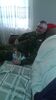 Filename=20161129_004.jpg
Filesize=222KiB
Dimensions=1152x2048
Date added=Dec 19, 2018 20161129_004.jpg