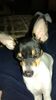Filename=20161213_002.jpg
Filesize=287KiB
Dimensions=1152x2048
Date added=Dec 22, 2018 20161213_002.jpg