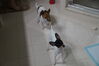 Filename=20161224_001.jpg
Filesize=188KiB
Dimensions=2047x1360
Date added=Dec 22, 2018 20161224_001.jpg