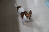 Filename=20161224_002.jpg
Filesize=181KiB
Dimensions=2047x1360
Date added=Dec 22, 2018 20161224_002.jpg