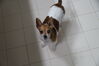 Filename=20161224_003.jpg
Filesize=186KiB
Dimensions=2047x1360
Date added=Dec 22, 2018 20161224_003.jpg