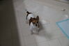 Filename=20161224_004.jpg
Filesize=177KiB
Dimensions=2047x1360
Date added=Dec 22, 2018 20161224_004.jpg