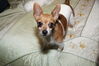 Filename=20161224_006.jpg
Filesize=349KiB
Dimensions=2047x1360
Date added=Dec 22, 2018 20161224_006.jpg