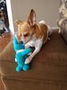Filename=20170106_001.jpg
Filesize=501KiB
Dimensions=1536x2048
Date added=Dec 20, 2018 20170106_001.jpg