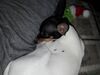 Filename=20170109_001.jpg
Filesize=385KiB
Dimensions=2048x1536
Date added=Dec 20, 2018 20170109_001.jpg