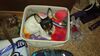 Filename=20170124_001.jpg
Filesize=303KiB
Dimensions=2048x1152
Date added=Dec 20, 2018 20170124_001.jpg