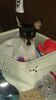 Filename=20170124_002.jpg
Filesize=145KiB
Dimensions=1152x2048
Date added=Dec 20, 2018 20170124_002.jpg