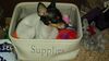 Filename=20170124_003.jpg
Filesize=219KiB
Dimensions=2048x1152
Date added=Dec 20, 2018 20170124_003.jpg