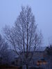 Filename=20170202_001.JPG
Filesize=574KiB
Dimensions=1536x2048
Date added=Dec 22, 2018 20170202_001.JPG