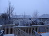 Filename=20170202_002.JPG
Filesize=400KiB
Dimensions=2048x1536
Date added=Dec 22, 2018 20170202_002.JPG