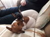 Filename=20170203_001.jpg
Filesize=347KiB
Dimensions=2048x1536
Date added=Dec 22, 2018 20170203_001.jpg