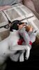 Filename=20170221_001.jpg
Filesize=675KiB
Dimensions=1152x2048
Date added=Dec 22, 2018 20170221_001.jpg
