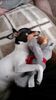 Filename=20170221_002.jpg
Filesize=625KiB
Dimensions=1152x2048
Date added=Dec 22, 2018 20170221_002.jpg