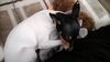 Filename=20170221_003.jpg
Filesize=618KiB
Dimensions=2048x1152
Date added=Dec 22, 2018 20170221_003.jpg