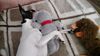 Filename=20170221_004.jpg
Filesize=748KiB
Dimensions=2048x1152
Date added=Dec 22, 2018 20170221_004.jpg