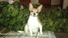 Filename=20170313_003.jpg
Filesize=310KiB
Dimensions=2048x1152
Date added=Dec 22, 2018 20170313_003.jpg