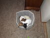 Filename=20170316_003.jpg
Filesize=596KiB
Dimensions=2048x1536
Date added=Dec 22, 2018 20170316_003.jpg