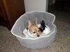 Filename=20170316_007.jpg
Filesize=351KiB
Dimensions=2048x1536
Date added=Dec 22, 2018 20170316_007.jpg