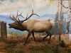 Filename=20170330_022.jpg
Filesize=595KiB
Dimensions=2048x1536
Date added=Dec 22, 2018 20170330_022.jpg