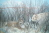 Filename=20170330_031.jpg
Filesize=613KiB
Dimensions=2047x1360
Date added=Dec 22, 2018 20170330_031.jpg