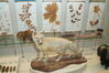 Filename=20170330_038.jpg
Filesize=339KiB
Dimensions=2047x1360
Date added=Dec 22, 2018 20170330_038.jpg