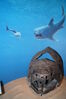 Filename=20170330_067.jpg
Filesize=285KiB
Dimensions=1360x2047
Date added=Dec 22, 2018 20170330_067.jpg