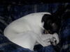 Filename=20170408_002.jpg
Filesize=275KiB
Dimensions=2048x1536
Date added=Dec 22, 2018 20170408_002.jpg
