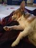Filename=20170505_001.jpg
Filesize=324KiB
Dimensions=1536x2048
Date added=Dec 22, 2018 20170505_001.jpg