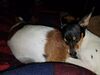 Filename=20170505_004.jpg
Filesize=473KiB
Dimensions=2048x1536
Date added=Dec 22, 2018 20170505_004.jpg