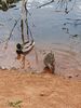 Filename=20170506_008.jpg
Filesize=433KiB
Dimensions=1536x2048
Date added=Dec 22, 2018 20170506_008.jpg