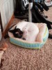 Filename=20170510_001.jpg
Filesize=637KiB
Dimensions=1536x2048
Date added=Dec 22, 2018 20170510_001.jpg
