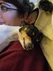 Filename=20170512_001.jpg
Filesize=338KiB
Dimensions=1536x2048
Date added=Dec 22, 2018 20170512_001.jpg