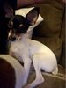 Filename=20170521_001.jpg
Filesize=324KiB
Dimensions=1536x2048
Date added=Dec 22, 2018 20170521_001.jpg