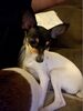 Filename=20170521_002.jpg
Filesize=196KiB
Dimensions=1536x2048
Date added=Dec 22, 2018 20170521_002.jpg