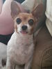 Filename=20170523_002.jpg
Filesize=362KiB
Dimensions=1536x2048
Date added=Dec 22, 2018 20170523_002.jpg