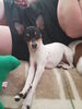 Filename=20170523_004.jpg
Filesize=365KiB
Dimensions=1536x2048
Date added=Dec 22, 2018 20170523_004.jpg