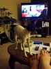 Filename=20170524_015.jpg
Filesize=383KiB
Dimensions=1536x2048
Date added=Dec 22, 2018 20170524_015.jpg