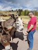 Filename=20170528_014.jpg
Filesize=892KiB
Dimensions=1536x2048
Date added=Dec 22, 2018 20170528_014.jpg