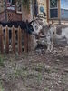 Filename=20170528_029.jpg
Filesize=788KiB
Dimensions=1536x2048
Date added=Dec 22, 2018 20170528_029.jpg
