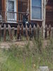 Filename=20170528_034.jpg
Filesize=695KiB
Dimensions=1536x2048
Date added=Dec 22, 2018 20170528_034.jpg