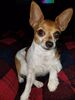 Filename=20170530_001.jpg
Filesize=475KiB
Dimensions=1536x2048
Date added=Dec 22, 2018 20170530_001.jpg