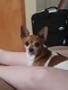 Filename=20170602_001.jpg
Filesize=319KiB
Dimensions=1536x2048
Date added=Dec 23, 2018 20170602_001.jpg